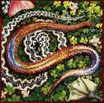 DUCRET MARC  PREVITEBOBBY