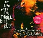 MY LIFE WITH THE THRILL KILL KULT