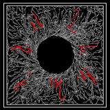 CHAOIST