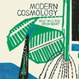 MODERN COSMOLOGY
