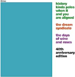 DREAM SYNDICATE