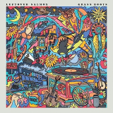 LEFTOVER SALMON