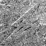 SAY SHE SHE SAY SHE SHE