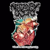 NECROPSY ODOR NECROPSY ODOR