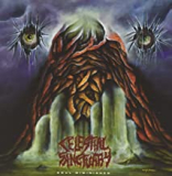 CELESTIAL SANCTUARY