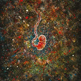 ITERUM NATA