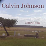 JOHNSON CALVIN
