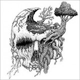 MOSS UPON THE SKULL