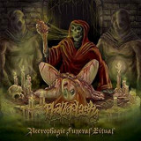 PHALLOPLASTY PHALLOPLASTY