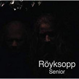 ROYKSOPP