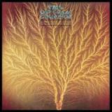 VAN DER GRAAF GENERATOR