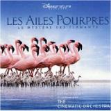 CINEMATIC ORCHESTRA CINEMATIC ORCHESTRA