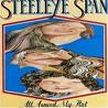 SPAN STEELEYE