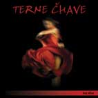 TERNE CHAVE TERNE CHAVE