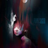 PUPIL SLICER