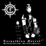 CARPATHIAN FOREST