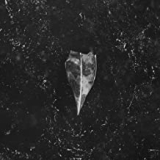 BEES MADE HONEY IN THE VEIN TREE