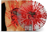 DISMEMBER DISMEMBER