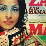 ZAP MAMA