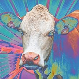 EYES OF OTHERS EYES OF OTHERS