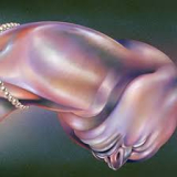 WALT DISCO WALT DISCO