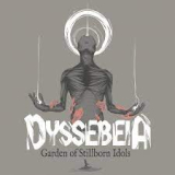 DYSSEBEIA DYSSEBEIA