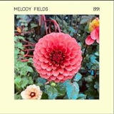MELODY FIELDS