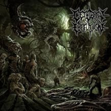 CEREBRAL EFFUSION
