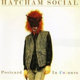 HATCHAM SOCIAL