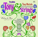 MOTTOLA TONY MOTTOLA TONY