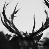 IHSAHN IHSAHN