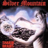 SILVER MOUNTAIN