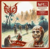 FULCI FULCI