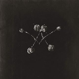 WATERSTRIDER WATERSTRIDER