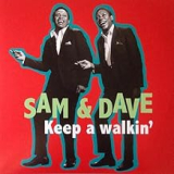 SAM & DAVE