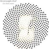PINEAPPLE THIEF PINEAPPLE THIEF