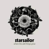 STARSAILOR