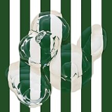 JOHNSON JOSH JOHNSON JOSH