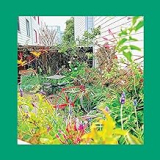 PINKS REDS AND PURPLES