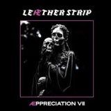 LEAETHER STRIP LEAETHER STRIP