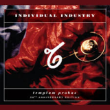 INDIVIDUAL INDUSTRY