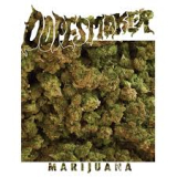 DOPE SMOKER DOPE SMOKER