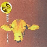 MIDNIGHT OIL MIDNIGHT OIL