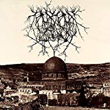 ENTROPY CREATED CONSCIOUSNESS