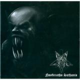 PARAGON BELIAL
