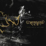 DREAMLESS VEIL