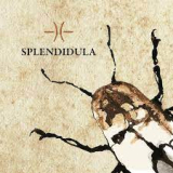 SPLENDIDULA SPLENDIDULA