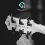 NEW ELECTRIC ANIMALS