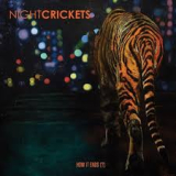 NIGHT CRICKETS