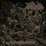 INFIBULATED INFIBULATED